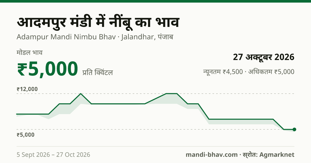 आदमपुर मंडी में नींबू का भाव 27 अक्टूबर 2026: मोडल ₹5,000 प्रति क्विंटल, भाव के रुझान का चार्ट