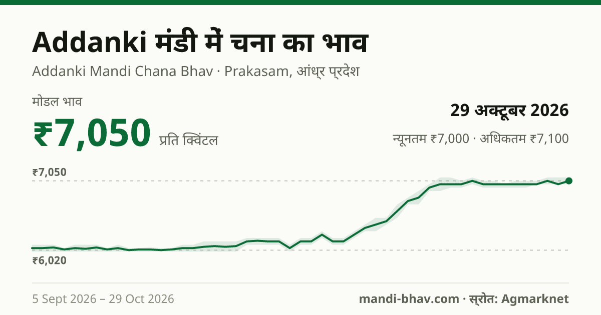 Addanki मंडी में चना का भाव 29 अक्टूबर 2026: मोडल ₹7,050 प्रति क्विंटल, भाव के रुझान का चार्ट