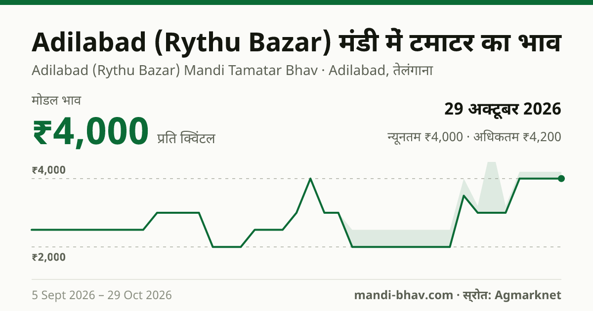 Adilabad (Rythu Bazar) मंडी में टमाटर का भाव 29 अक्टूबर 2026: मोडल ₹4,000 प्रति क्विंटल, भाव के रुझान का चार्ट