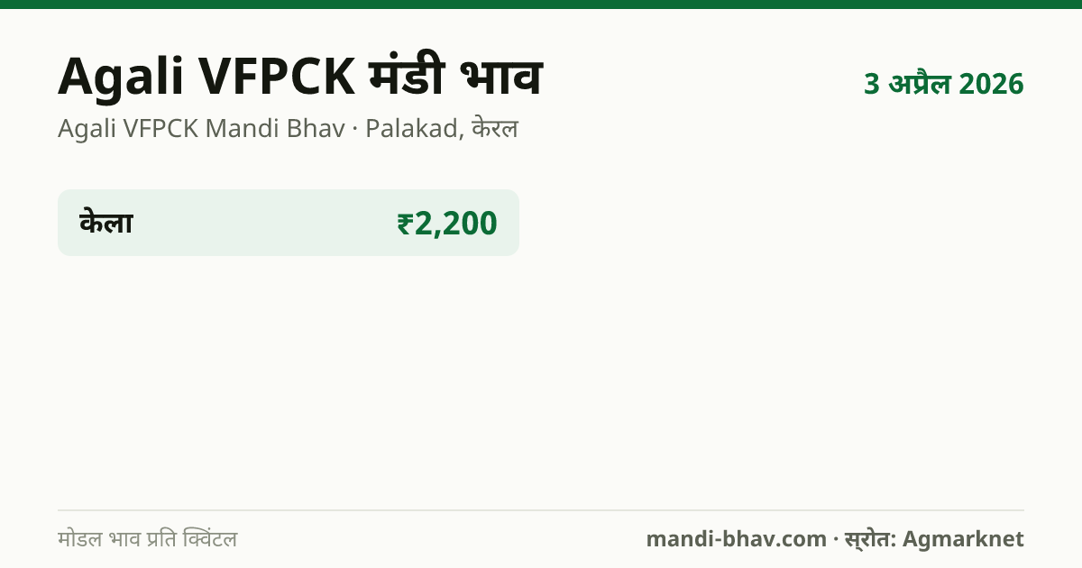 Agali VFPCK मंडी भाव 3 अप्रैल 2026: फसलवार मोडल रेट प्रति क्विंटल