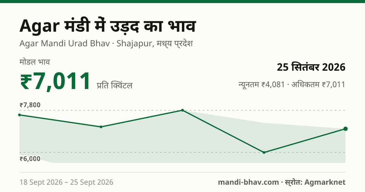 Agar मंडी में उड़द का भाव 25 सितंबर 2026: मोडल ₹7,011 प्रति क्विंटल, भाव के रुझान का चार्ट
