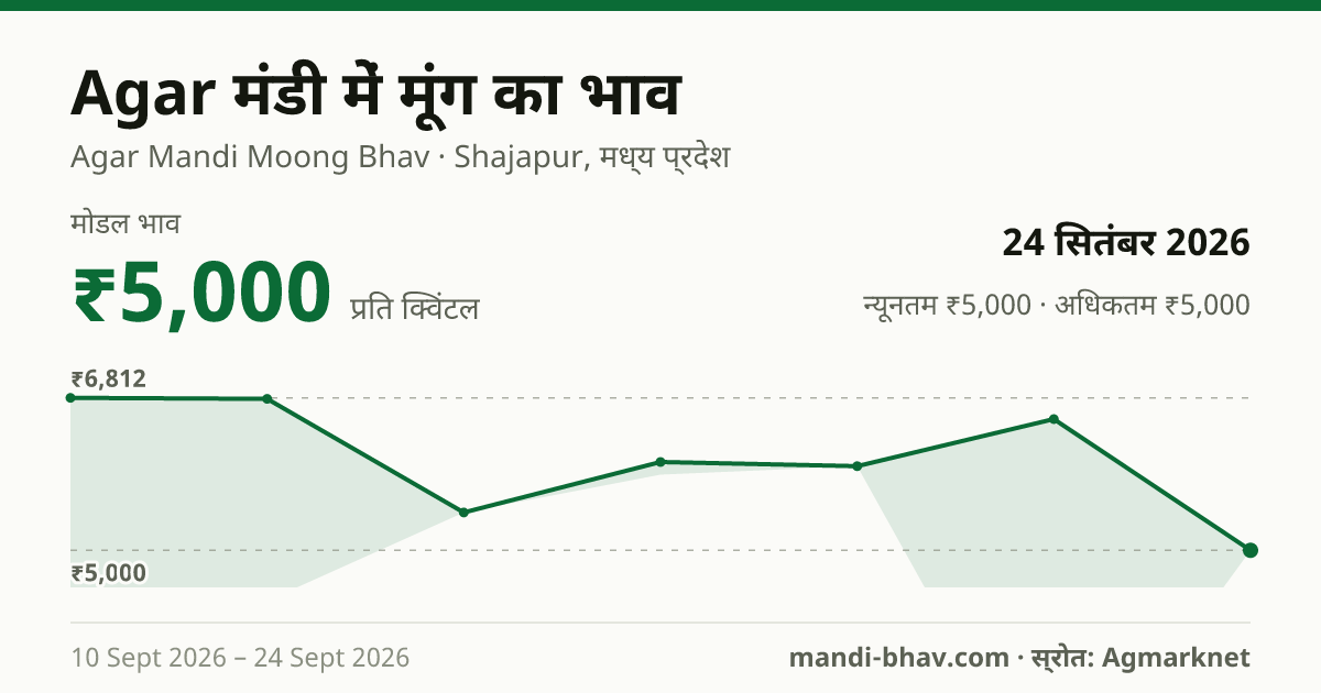 Agar मंडी में मूंग का भाव 24 सितंबर 2026: मोडल ₹5,000 प्रति क्विंटल, भाव के रुझान का चार्ट