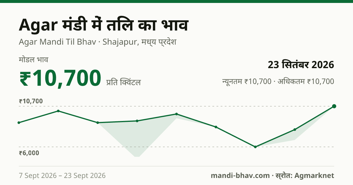 Agar मंडी में तिल का भाव 23 सितंबर 2026: मोडल ₹10,700 प्रति क्विंटल, भाव के रुझान का चार्ट
