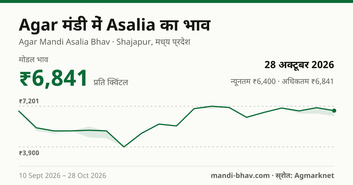 Agar मंडी में Asalia का भाव 28 अक्टूबर 2026: मोडल ₹6,841 प्रति क्विंटल, भाव के रुझान का चार्ट