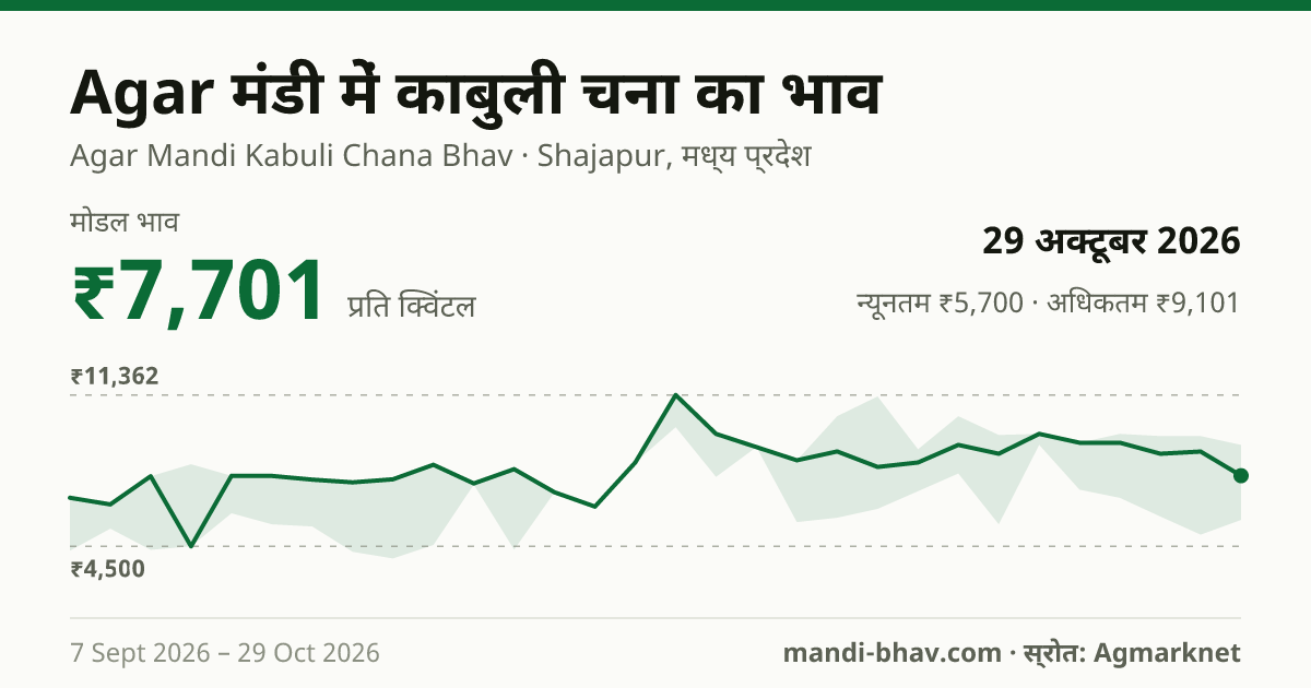 Agar मंडी में काबुली चना का भाव 29 अक्टूबर 2026: मोडल ₹7,701 प्रति क्विंटल, भाव के रुझान का चार्ट