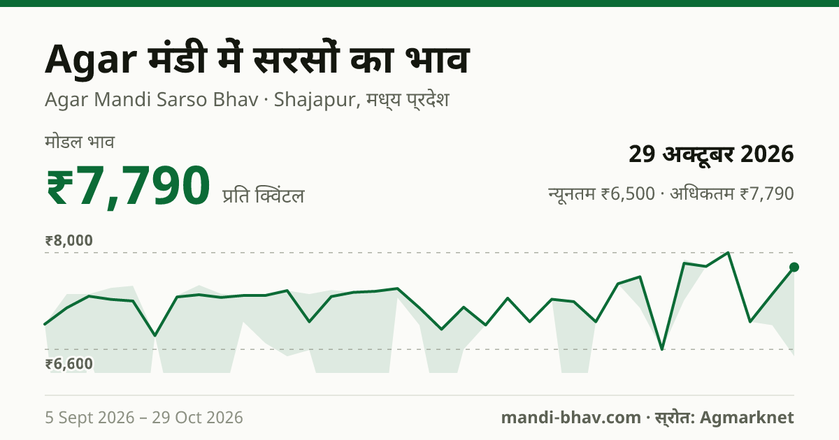 Agar मंडी में सरसों का भाव 29 अक्टूबर 2026: मोडल ₹7,790 प्रति क्विंटल, भाव के रुझान का चार्ट