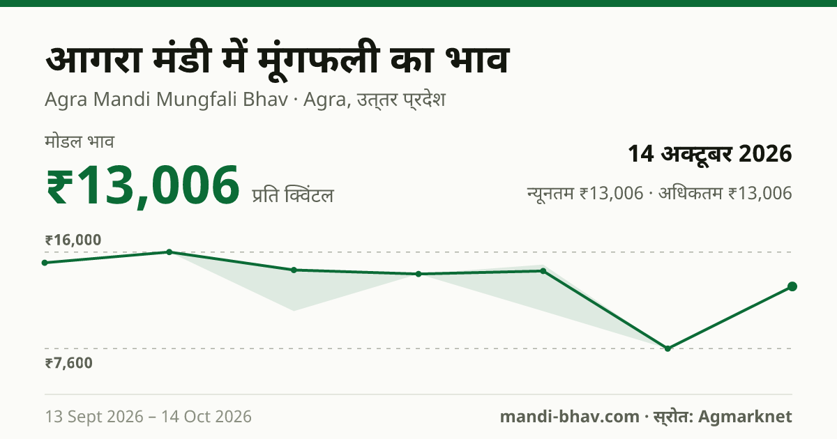 आगरा मंडी में मूंगफली का भाव 14 अक्टूबर 2026: मोडल ₹13,006 प्रति क्विंटल, भाव के रुझान का चार्ट