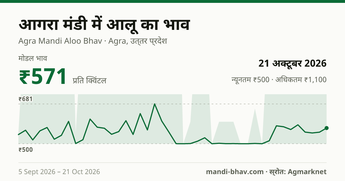 आगरा मंडी में आलू का भाव 21 अक्टूबर 2026: मोडल ₹571 प्रति क्विंटल, भाव के रुझान का चार्ट