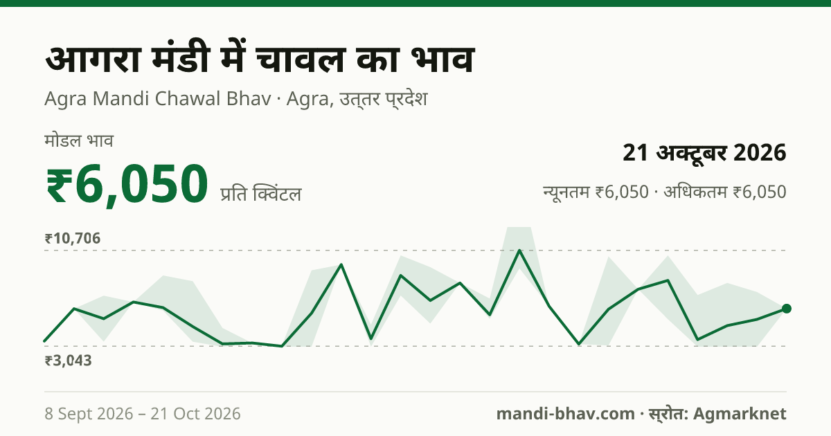 आगरा मंडी में चावल का भाव 21 अक्टूबर 2026: मोडल ₹6,050 प्रति क्विंटल, भाव के रुझान का चार्ट