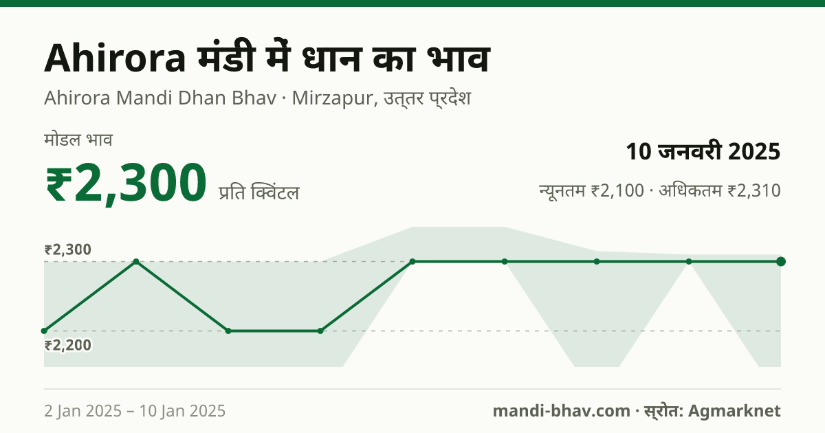 Ahirora मंडी में धान का भाव 10 जनवरी 2025: मोडल ₹2,300 प्रति क्विंटल, भाव के रुझान का चार्ट