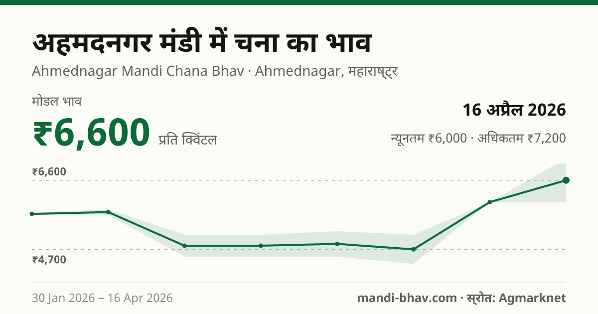 अहमदनगर मंडी में चना का भाव 16 अप्रैल 2026: मोडल ₹6,600 प्रति क्विंटल, भाव के रुझान का चार्ट
