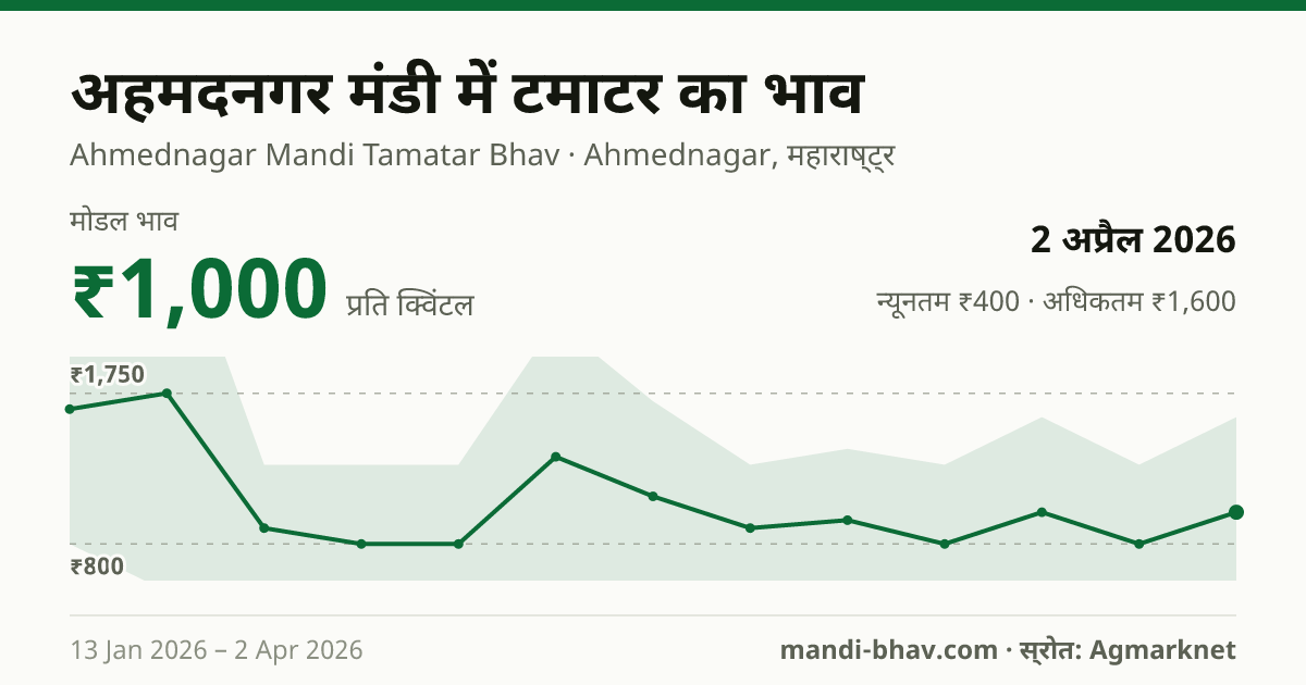 अहमदनगर मंडी में टमाटर का भाव 2 अप्रैल 2026: मोडल ₹1,000 प्रति क्विंटल, भाव के रुझान का चार्ट