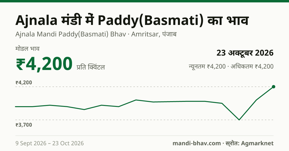 Ajnala मंडी में Paddy(Basmati) का भाव 23 अक्टूबर 2026: मोडल ₹4,200 प्रति क्विंटल, भाव के रुझान का चार्ट