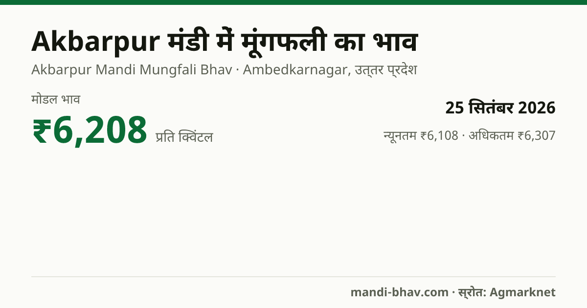 Akbarpur मंडी में मूंगफली का भाव 25 सितंबर 2026: मोडल ₹6,208 प्रति क्विंटल, भाव के रुझान का चार्ट