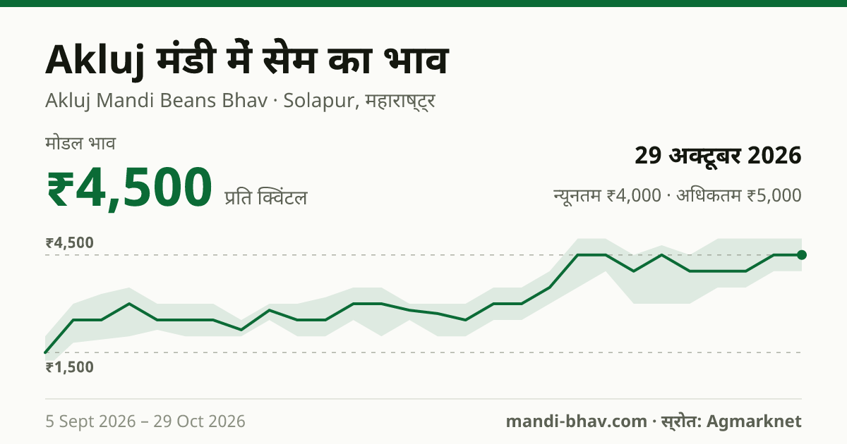 Akluj मंडी में सेम का भाव 29 अक्टूबर 2026: मोडल ₹4,500 प्रति क्विंटल, भाव के रुझान का चार्ट
