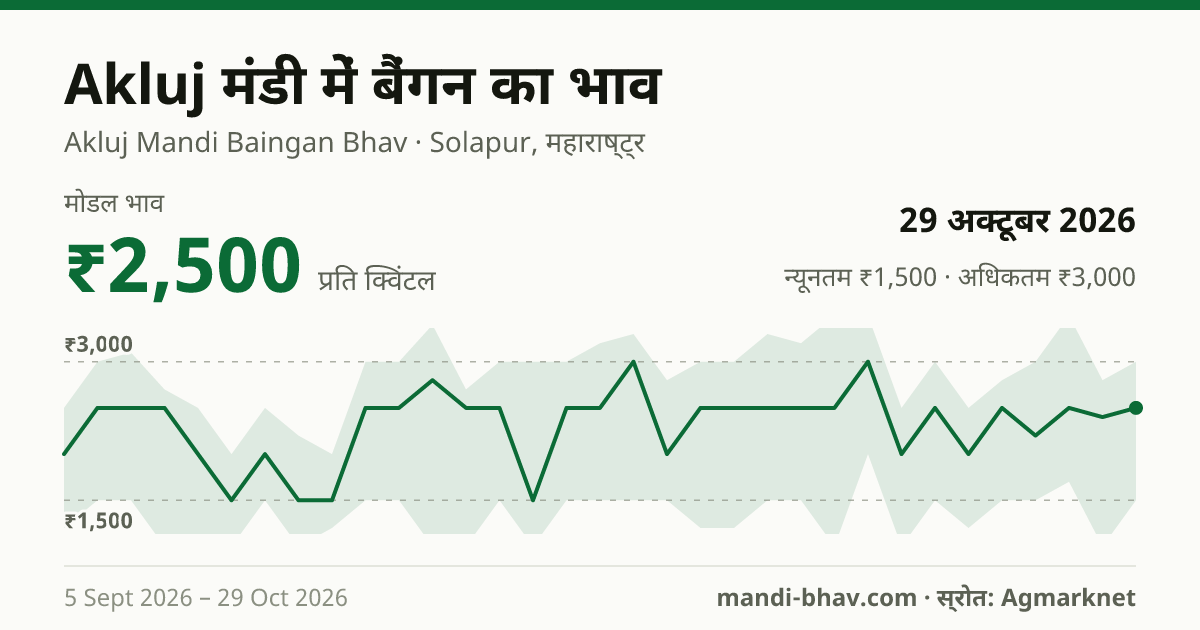 Akluj मंडी में बैंगन का भाव 29 अक्टूबर 2026: मोडल ₹2,500 प्रति क्विंटल, भाव के रुझान का चार्ट