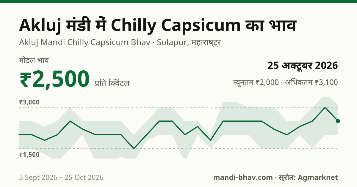 Akluj मंडी में Chilly Capsicum का भाव 25 अक्टूबर 2026: मोडल ₹2,500 प्रति क्विंटल, भाव के रुझान का चार्ट