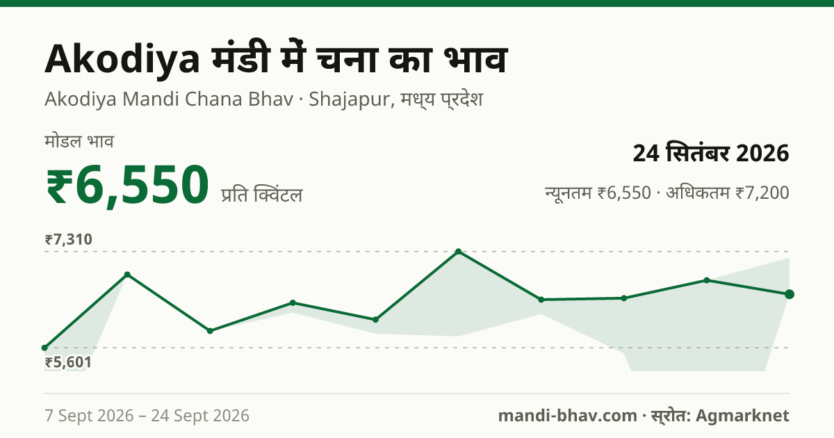 Akodiya मंडी में चना का भाव 24 सितंबर 2026: मोडल ₹6,550 प्रति क्विंटल, भाव के रुझान का चार्ट