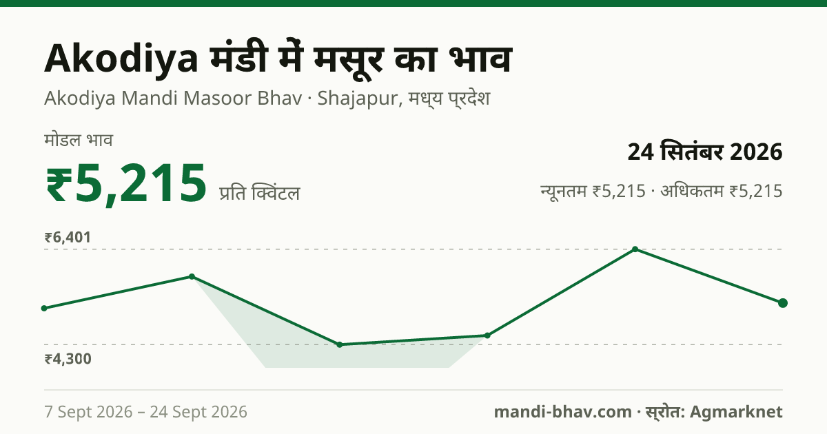 Akodiya मंडी में मसूर का भाव 24 सितंबर 2026: मोडल ₹5,215 प्रति क्विंटल, भाव के रुझान का चार्ट