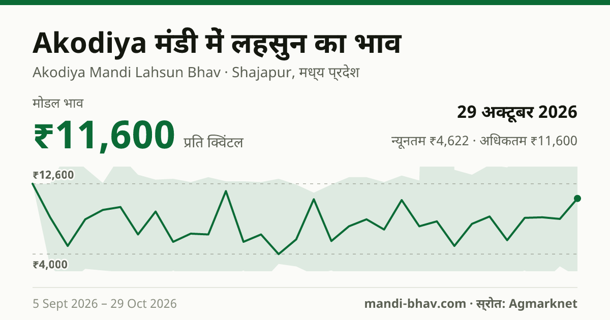 Akodiya मंडी में लहसुन का भाव 29 अक्टूबर 2026: मोडल ₹11,600 प्रति क्विंटल, भाव के रुझान का चार्ट