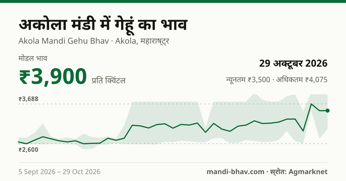 अकोला मंडी में गेहूं का भाव 29 अक्टूबर 2026: मोडल ₹3,900 प्रति क्विंटल, भाव के रुझान का चार्ट
