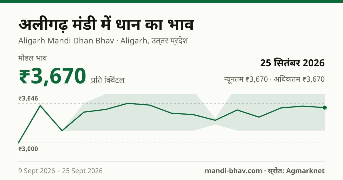 अलीगढ़ मंडी में धान का भाव 25 सितंबर 2026: मोडल ₹3,670 प्रति क्विंटल, भाव के रुझान का चार्ट