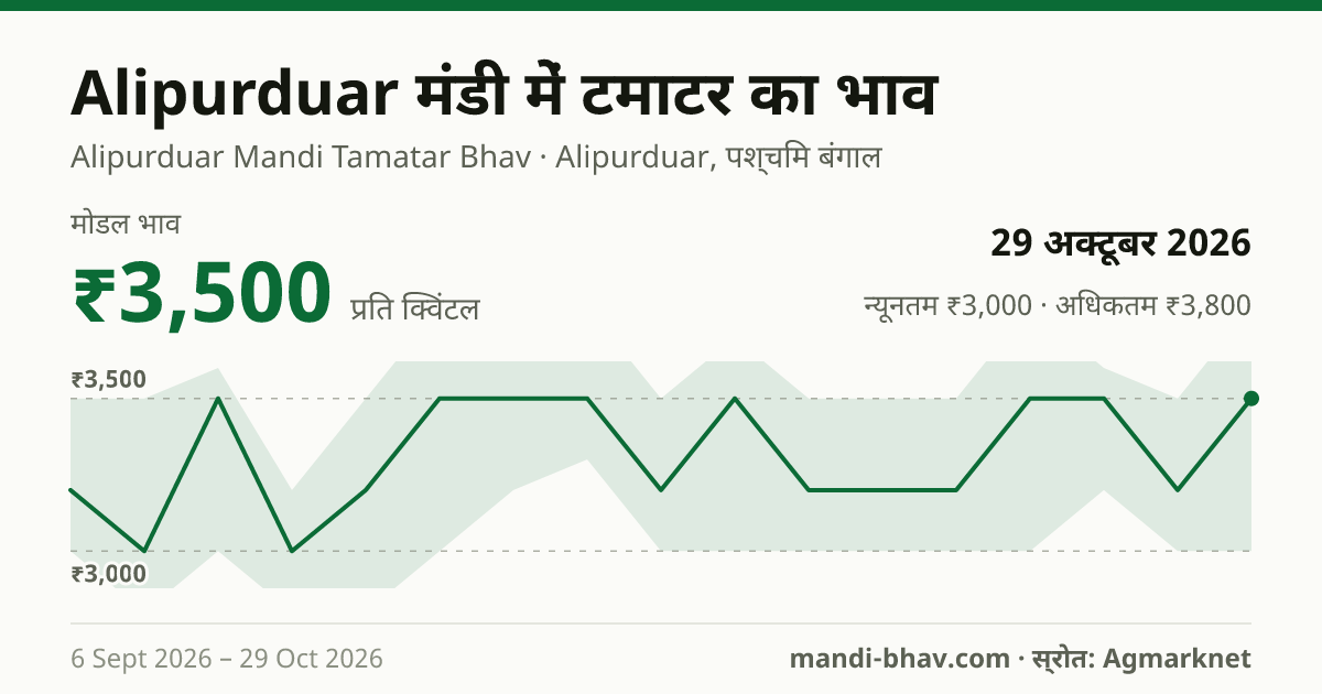Alipurduar मंडी में टमाटर का भाव 29 अक्टूबर 2026: मोडल ₹3,500 प्रति क्विंटल, भाव के रुझान का चार्ट