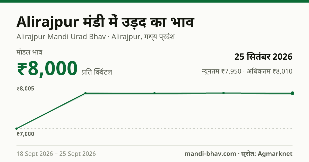 Alirajpur मंडी में उड़द का भाव 25 सितंबर 2026: मोडल ₹8,000 प्रति क्विंटल, भाव के रुझान का चार्ट