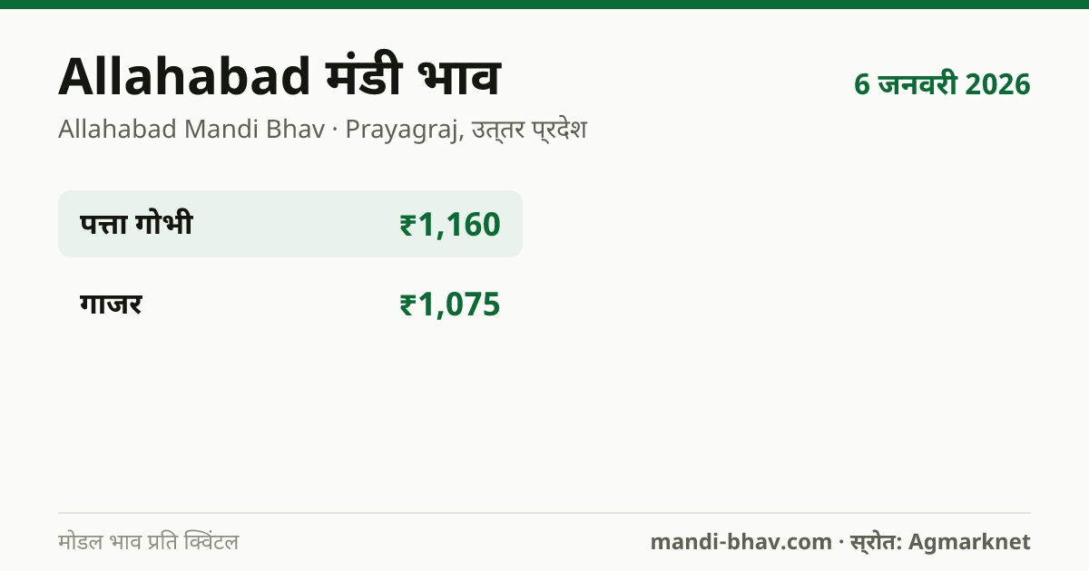 Allahabad मंडी भाव 6 जनवरी 2026: फसलवार मोडल रेट प्रति क्विंटल