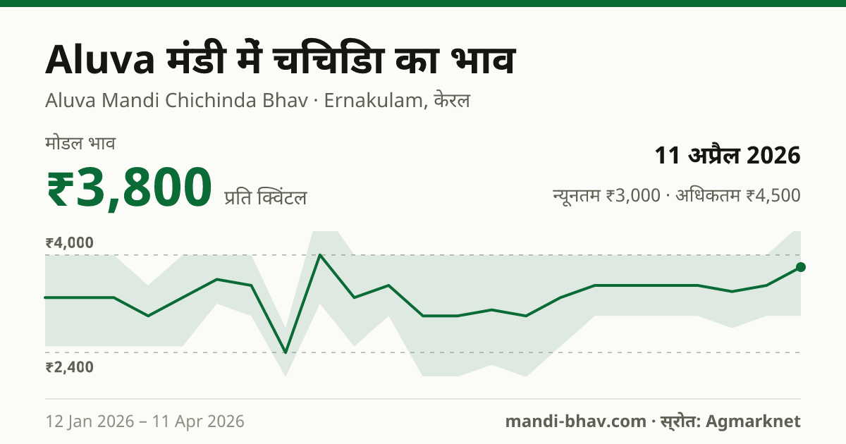 Aluva मंडी में चिचिंडा का भाव 11 अप्रैल 2026: मोडल ₹3,800 प्रति क्विंटल, भाव के रुझान का चार्ट