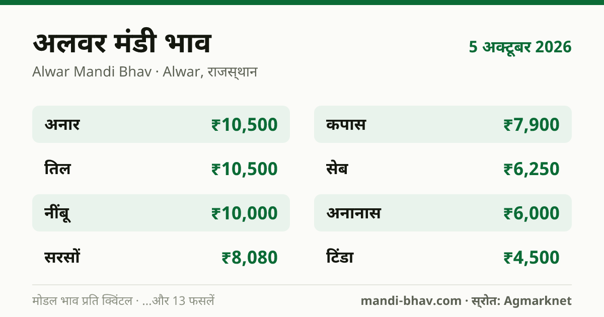 अलवर मंडी भाव 5 अक्टूबर 2026: फसलवार मोडल रेट प्रति क्विंटल