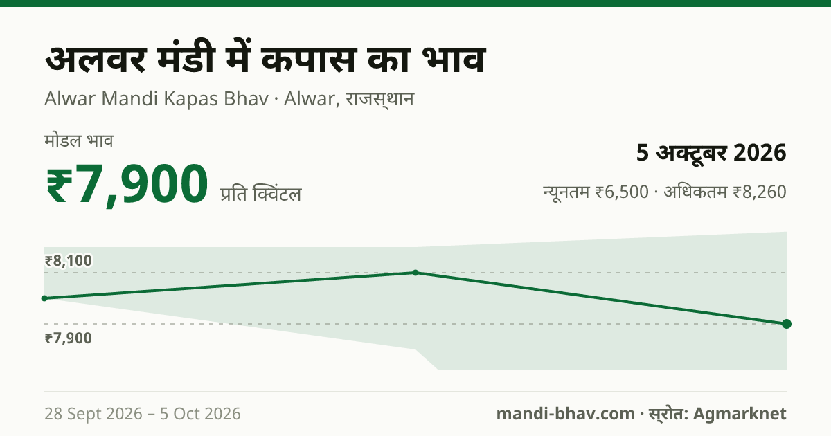 अलवर मंडी में कपास का भाव 5 अक्टूबर 2026: मोडल ₹7,900 प्रति क्विंटल, भाव के रुझान का चार्ट
