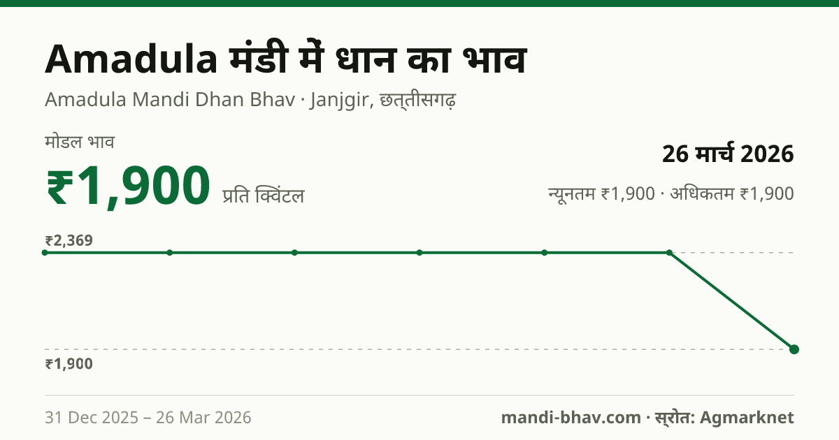 Amadula मंडी में धान का भाव 26 मार्च 2026: मोडल ₹1,900 प्रति क्विंटल, भाव के रुझान का चार्ट