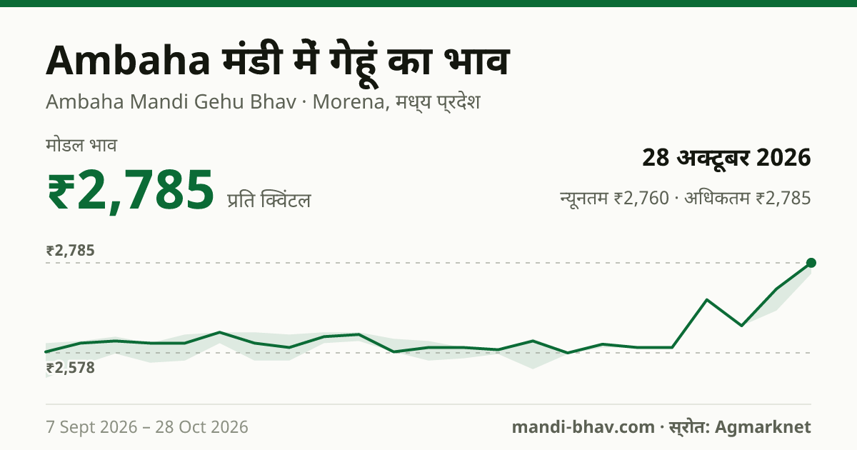 Ambaha मंडी में गेहूं का भाव 28 अक्टूबर 2026: मोडल ₹2,785 प्रति क्विंटल, भाव के रुझान का चार्ट