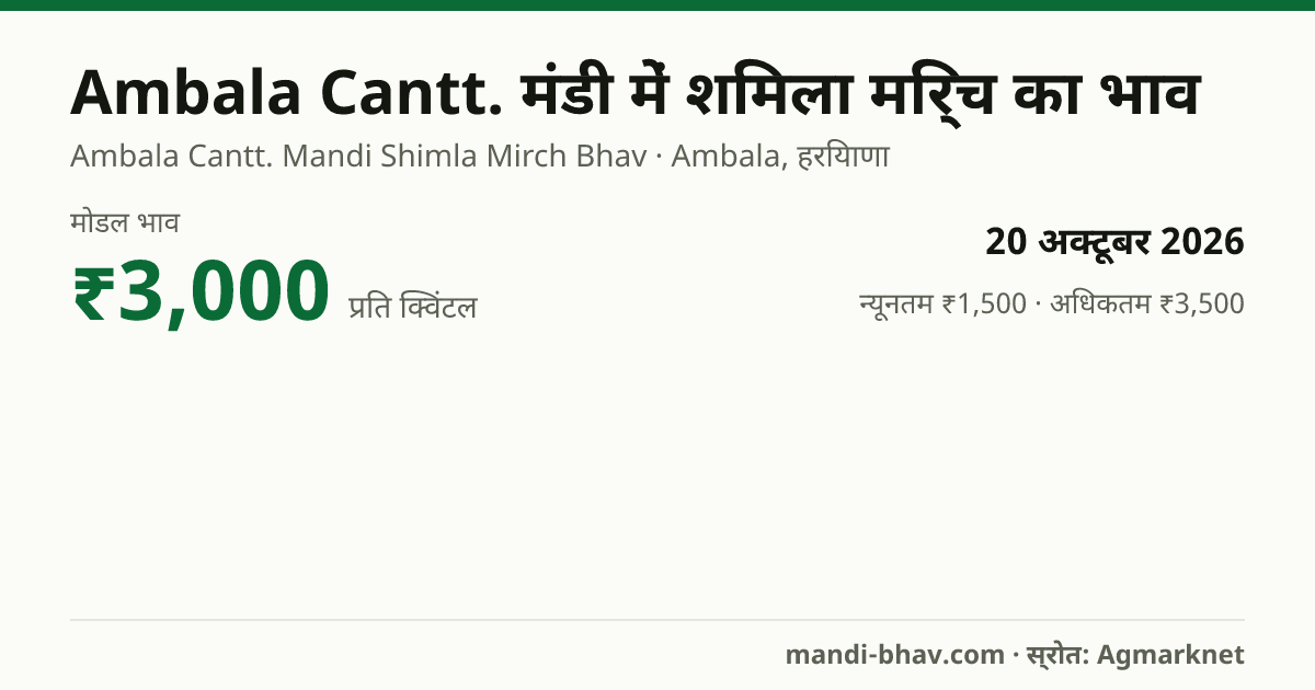 Ambala Cantt. मंडी में शिमला मिर्च का भाव 20 अक्टूबर 2026: मोडल ₹3,000 प्रति क्विंटल, भाव के रुझान का चार्ट