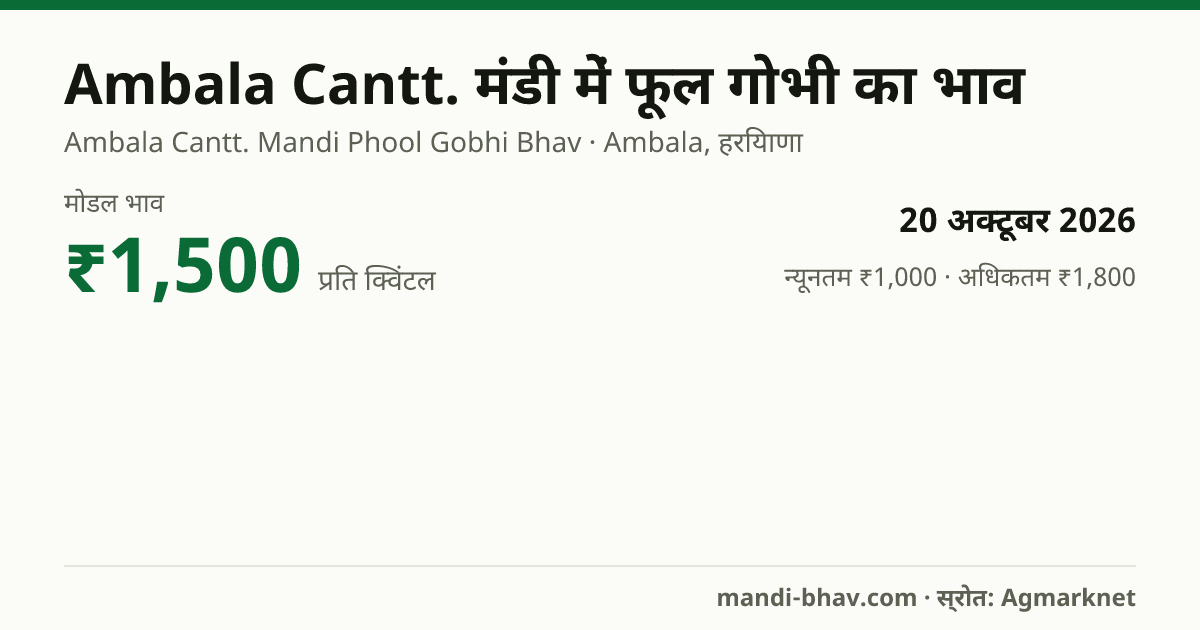 Ambala Cantt. मंडी में फूल गोभी का भाव 20 अक्टूबर 2026: मोडल ₹1,500 प्रति क्विंटल, भाव के रुझान का चार्ट