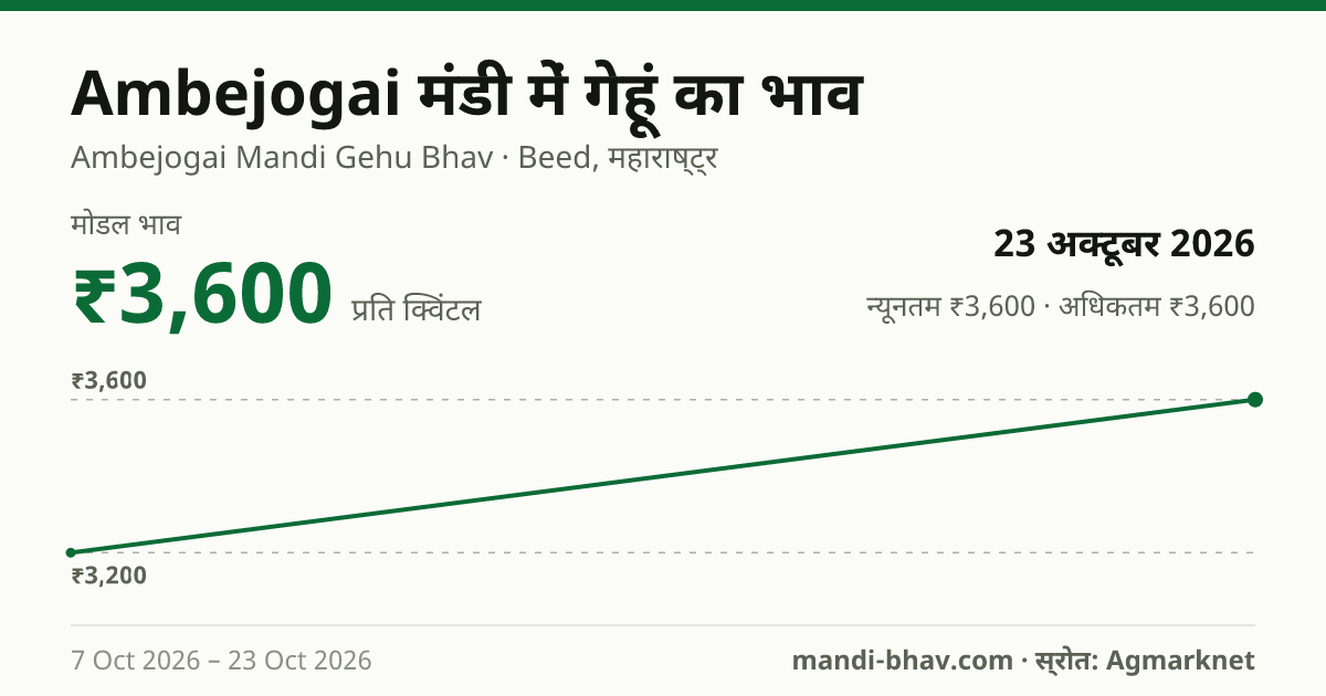Ambejogai मंडी में गेहूं का भाव 23 अक्टूबर 2026: मोडल ₹3,600 प्रति क्विंटल, भाव के रुझान का चार्ट