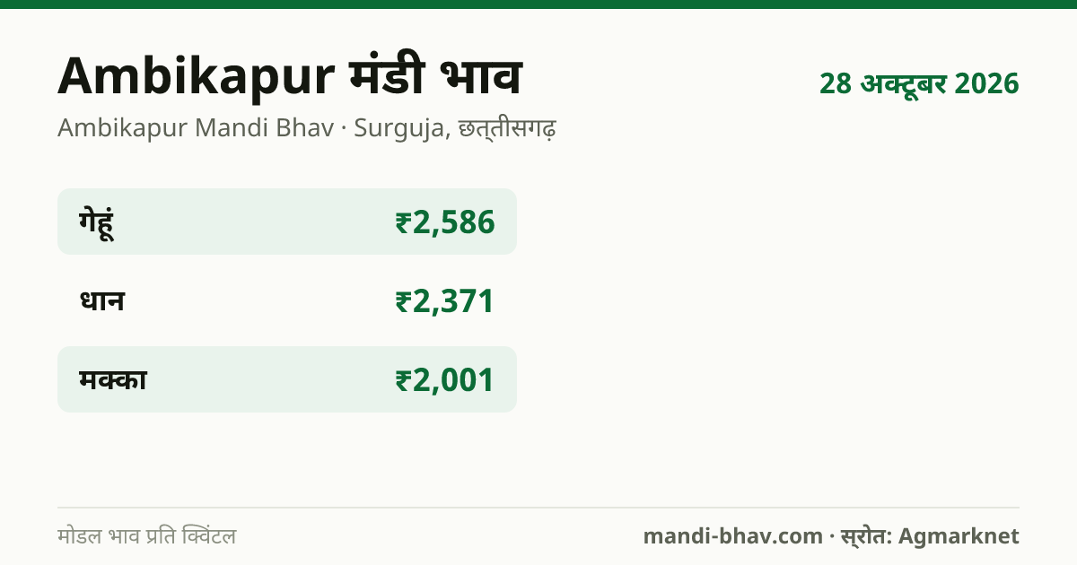 Ambikapur मंडी भाव 28 अक्टूबर 2026: फसलवार मोडल रेट प्रति क्विंटल