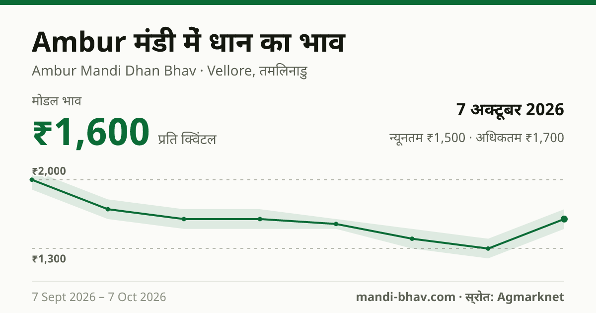 Ambur मंडी में धान का भाव 7 अक्टूबर 2026: मोडल ₹1,600 प्रति क्विंटल, भाव के रुझान का चार्ट