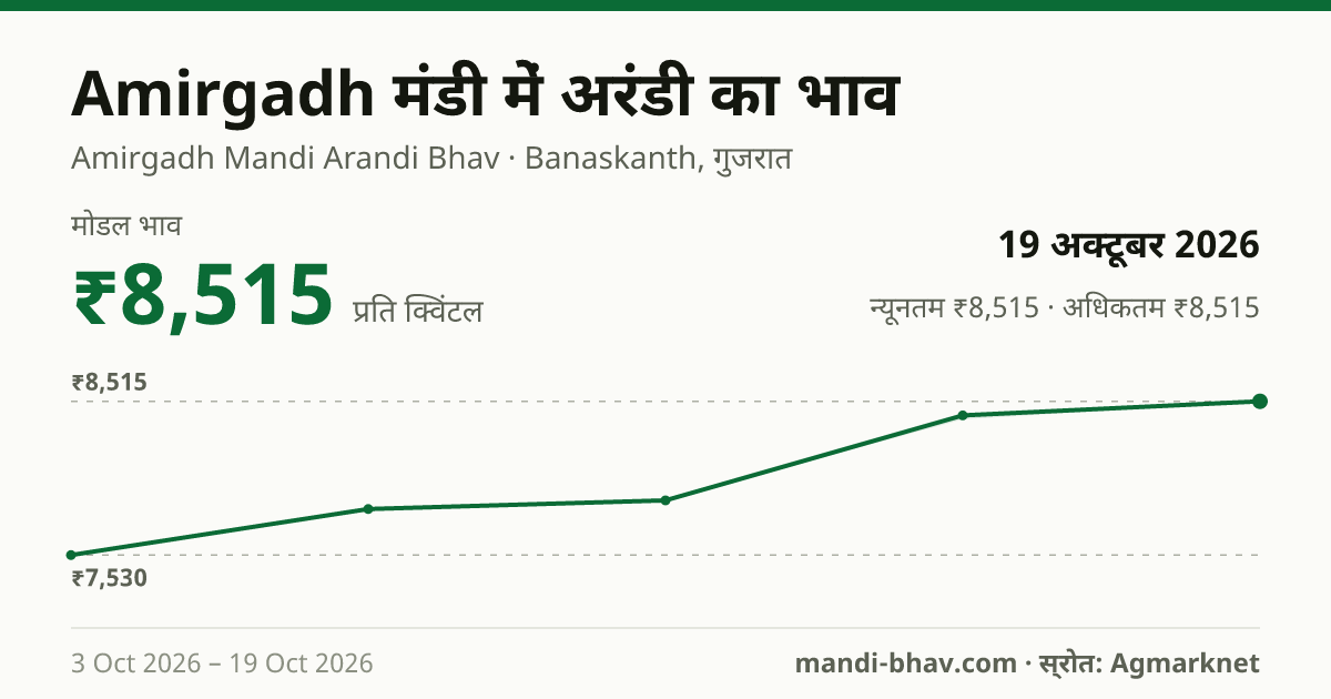 Amirgadh मंडी में Castor Seed का भाव 19 अक्टूबर 2026: मोडल ₹8,515 प्रति क्विंटल, भाव के रुझान का चार्ट