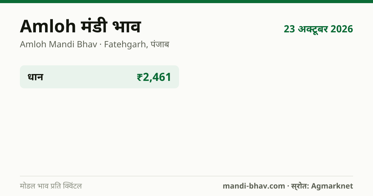 Amloh मंडी भाव 23 अक्टूबर 2026: फसलवार मोडल रेट प्रति क्विंटल