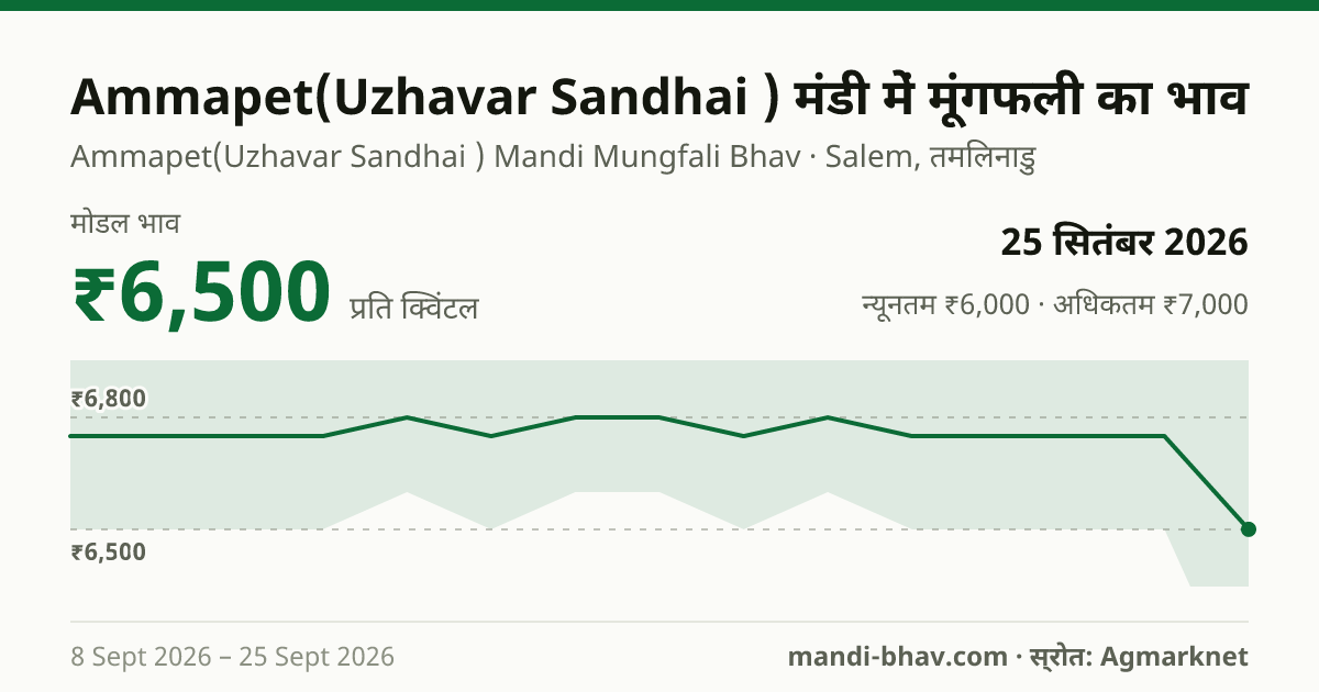 Ammapet(Uzhavar Sandhai ) मंडी में मूंगफली का भाव 25 सितंबर 2026: मोडल ₹6,500 प्रति क्विंटल, भाव के रुझान का चार्ट