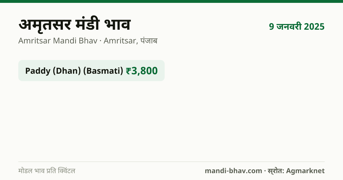 अमृतसर मंडी भाव 9 जनवरी 2025: फसलवार मोडल रेट प्रति क्विंटल