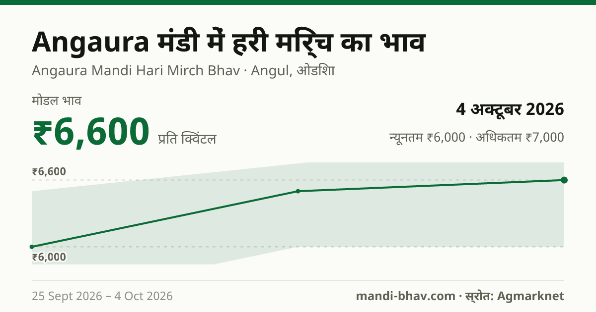 Angaura मंडी में हरी मिर्च का भाव 4 अक्टूबर 2026: मोडल ₹6,600 प्रति क्विंटल, भाव के रुझान का चार्ट