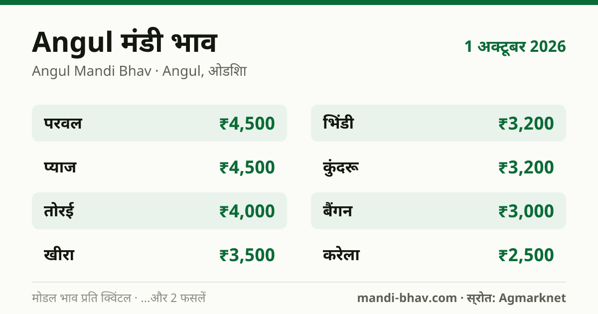 Angul मंडी भाव 1 अक्टूबर 2026: फसलवार मोडल रेट प्रति क्विंटल