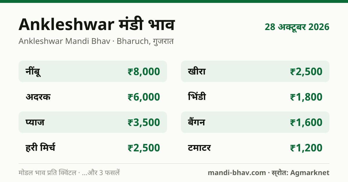 Ankleshwar मंडी भाव 28 अक्टूबर 2026: फसलवार मोडल रेट प्रति क्विंटल