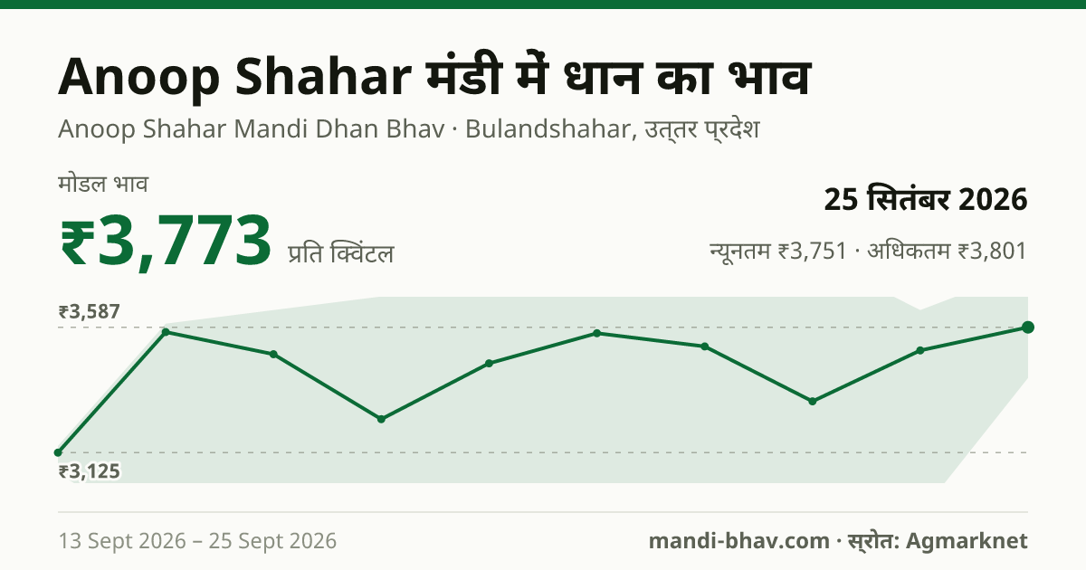Anoop Shahar मंडी में धान का भाव 25 सितंबर 2026: मोडल ₹3,773 प्रति क्विंटल, भाव के रुझान का चार्ट