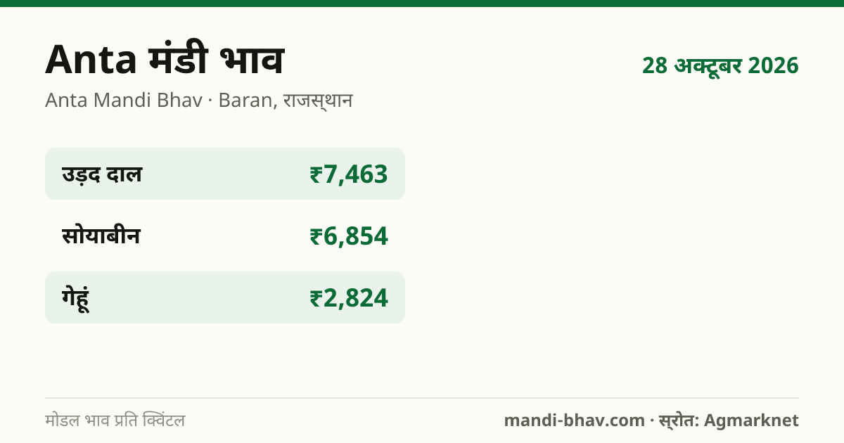 Anta मंडी भाव 28 अक्टूबर 2026: फसलवार मोडल रेट प्रति क्विंटल