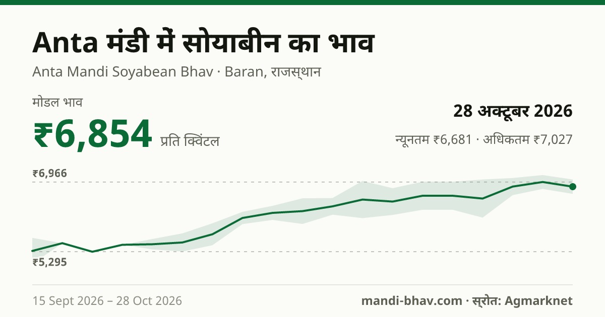 Anta मंडी में सोयाबीन का भाव 28 अक्टूबर 2026: मोडल ₹6,854 प्रति क्विंटल, भाव के रुझान का चार्ट