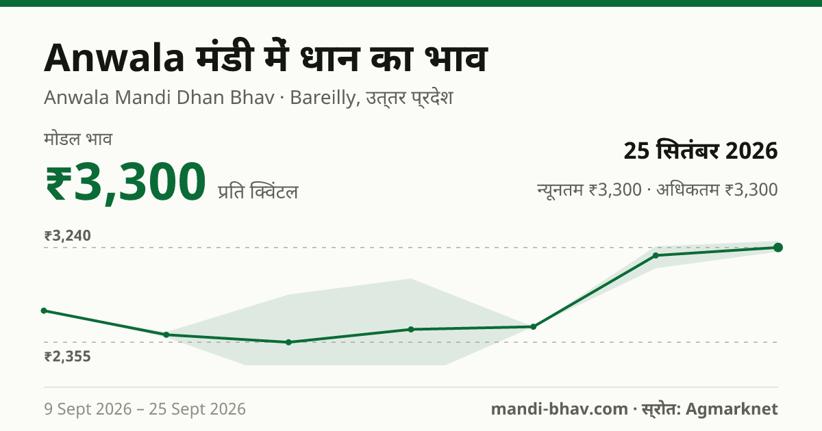 Anwala मंडी में धान का भाव 25 सितंबर 2026: मोडल ₹3,300 प्रति क्विंटल, भाव के रुझान का चार्ट